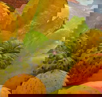 Private Half Day Tour Exclusive World Heritage Rainforest and Waterfall Tour from Cairns - Accommodation Ballina