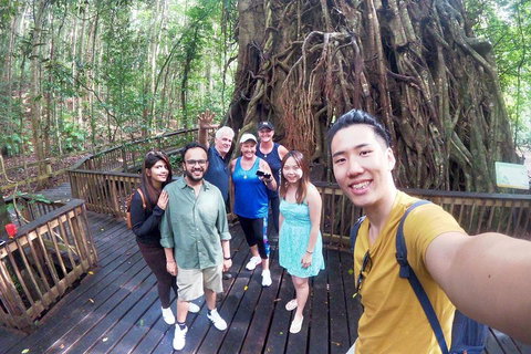 Cairns 4WD Waterfall And Rainforest Tour Including Kuranda Scenic Railway - Accommodation Ballina 0