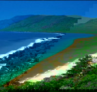 Cairns Reef and Rainforest Combo Daintree Rainforest and the Great Barrier Reef - Accommodation Ballina