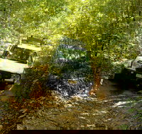 Cairns National Park Rainforest and Waterfall Small Group Tour Shore Excursion - Accommodation Ballina