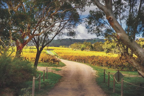 McLaren Vale Winery Small Group Tour With Wine Tasting And Lunch - Accommodation Ballina 1