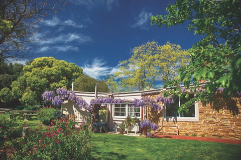 McLaren Vale Winery Small Group Tour With Wine Tasting And Lunch - Accommodation Ballina 2