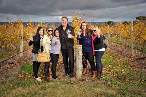 McLaren Vale Winery Small Group Tour With Wine Tasting And Lunch - Accommodation Ballina 3