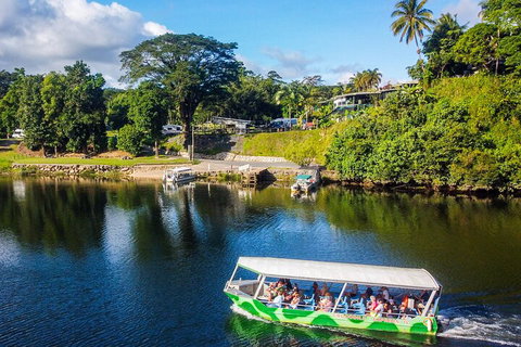 Full Day Tour In The Daintree - Accommodation Ballina 2