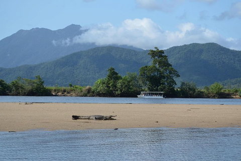 Afternoon Half-Day Daintree Rainforest And River Tour - Accommodation Ballina 2