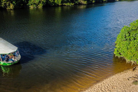 Afternoon Half-Day Daintree Rainforest And River Tour - Accommodation Ballina 3