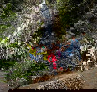 5-Day Lap of Tasmania Tour from Hobart flexible ticket - Accommodation Ballina