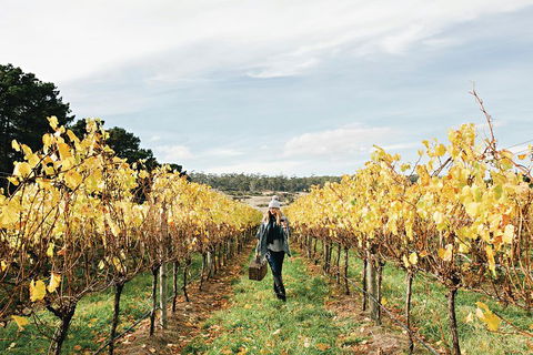 One-Way East Coaster - Accommodation Ballina 1