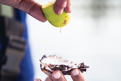 One-Way East Coaster - Accommodation Ballina 3