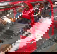 Full-Day Private Blue Mountains Tour with River Cruise - Accommodation Ballina