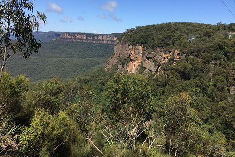 Full-Day Private Blue Mountains Tour With River Cruise - Accommodation Ballina 1