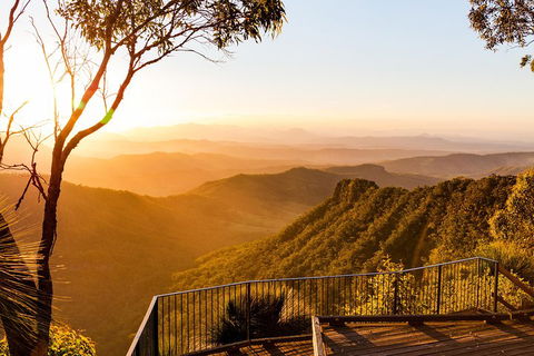 O'Reilly's & Lamington National Park Incl. Alpaca Farm + Vineyard - Accommodation Ballina 0