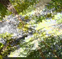 Fraser Island 4WD Tour from Noosa - Accommodation Ballina