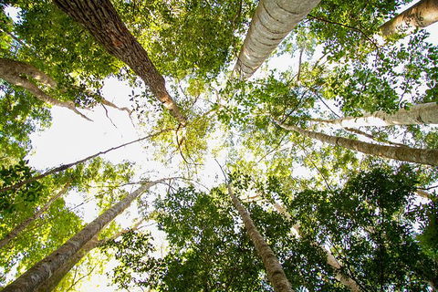 Fraser Island 4WD Tour From Noosa - Accommodation Ballina 0