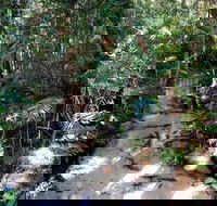 Fraser Island 4WD Tour from Rainbow Beach - Accommodation Ballina