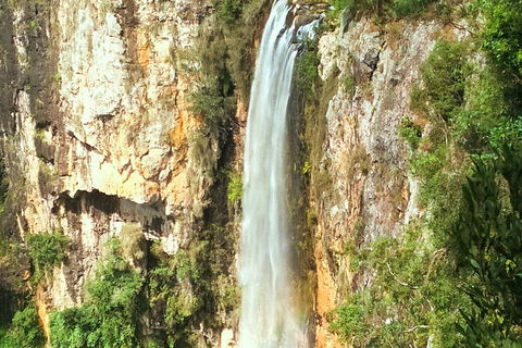 Natural Arch, Rainforest & Volcano Canyon - Private Half Day Tour - Accommodation Ballina 2