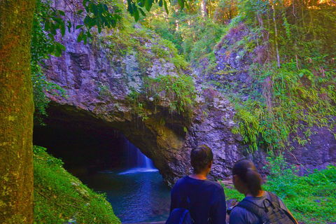 Natural Arch, Rainforest & Volcano Canyon - Private Half Day Tour - Accommodation Ballina 4