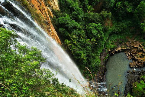 Natural Arch, Rainforest & Volcano Canyon - Private Half Day Tour - Accommodation Ballina 5