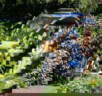 Adelaide 90-Minute Pedicab Tour Scenic Green  River Experience - Accommodation Ballina