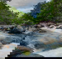 Cape Tribulation Day Tour - Accommodation Ballina