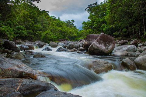 Cape Tribulation Day Tour - Accommodation Ballina 0