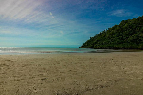 Cape Tribulation Day Tour - Accommodation Ballina 2