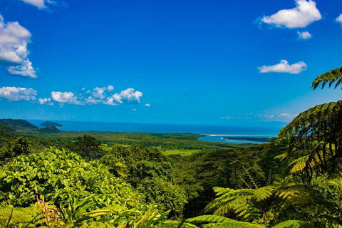 Cape Tribulation Day Tour - Accommodation Ballina 3
