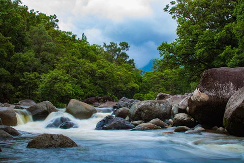 Cape Tribulation Day Tour - Accommodation Ballina 4