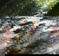 Daintree Rainforest Cape Tribulation Mossman Gorge Small-Group Day Tour - Accommodation Ballina