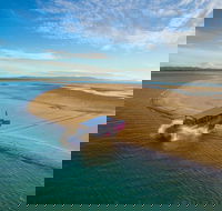 Town of 1770 Afternoon Cruise - Accommodation Ballina