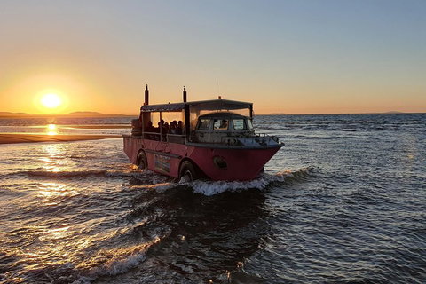 Town Of 1770 Afternoon Cruise - Accommodation Ballina 3