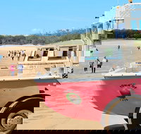 1770 Coastline Tour by LARC Amphibious Vehicle Including Picnic Lunch - Accommodation Ballina