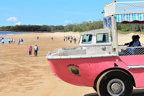 1770 Coastline Tour By LARC Amphibious Vehicle Including Picnic Lunch - Accommodation Ballina 0