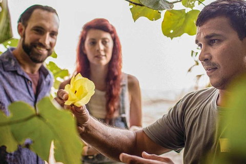 Ngana Julaymba Dungay - Full Day - Accommodation Ballina 4