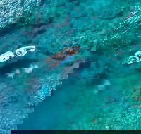 Premium Private Charter - Accommodation Ballina