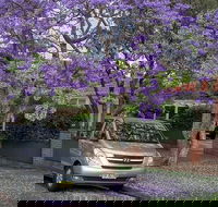 Sydney Secrets  Bondi Beach Private 4 Hr Morning with Personalised Sydney Tours - Accommodation Ballina