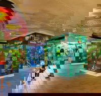 Skyrail  Kuranda Train Day Trip from Cairns - Accommodation Ballina