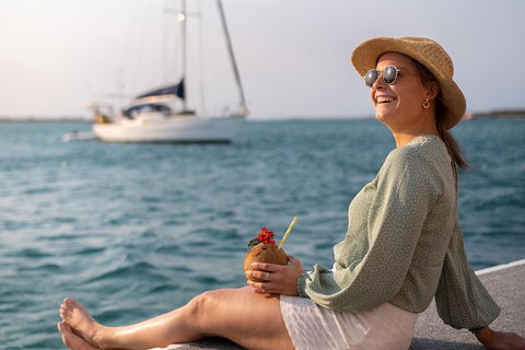 All Inclusive Dolphin And Tangalooma Wrecks Cruise - Accommodation Ballina 5