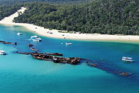 All Inclusive Tangalooma Wrecks Cruise Tour From Gold Coast - Accommodation Ballina 0
