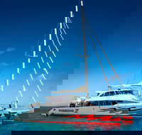 Passions of Paradise Great Barrier Reef Snorkel and Dive Cruise from Cairns by Luxury Catamaran - Accommodation Ballina