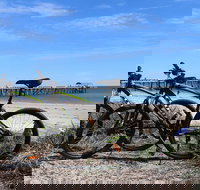 Adelaide City to Sea Bike Tour - Accommodation Ballina