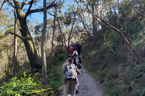 Mount Lofty Hike And Cleland Wildlife Park Day Trip From Adelaide - Accommodation Ballina 3