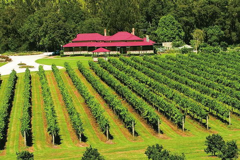 O'Reilly's & Lamington National Park From Brisbane - Accommodation Ballina 2