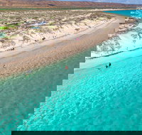 Ningaloo in a Day - Full Day Hike and Snorkel Tour with Lunch - Accommodation Ballina