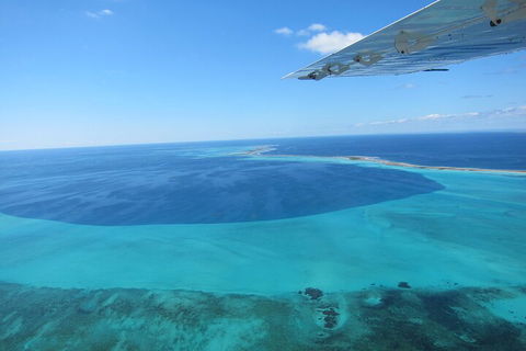 Shipwreck Special Full Day Tour Of The Abrolhos Islands - Accommodation Ballina 2
