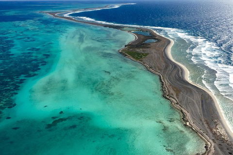 Shipwreck Special Full Day Tour Of The Abrolhos Islands - Accommodation Ballina 3