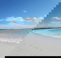 Shipwreck Special Nature Tour/Half Day Tour - Accommodation Ballina