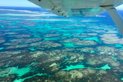 Kalbarri, Pink Lake And Abrolhos Islands Nature Tour - Accommodation Ballina 5