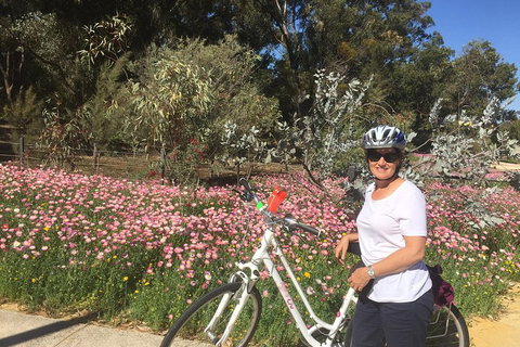 Perth Bike Tour - Beautiful Matilda Bay And Kings Park - Accommodation Ballina 1