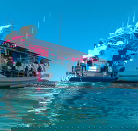 Best of Moreton Bay Cruise - Accommodation Ballina